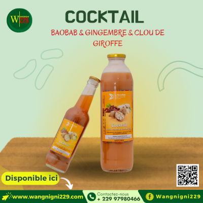 Cocktail baobab, gingembre et clou de girofle (Pack de 6)
