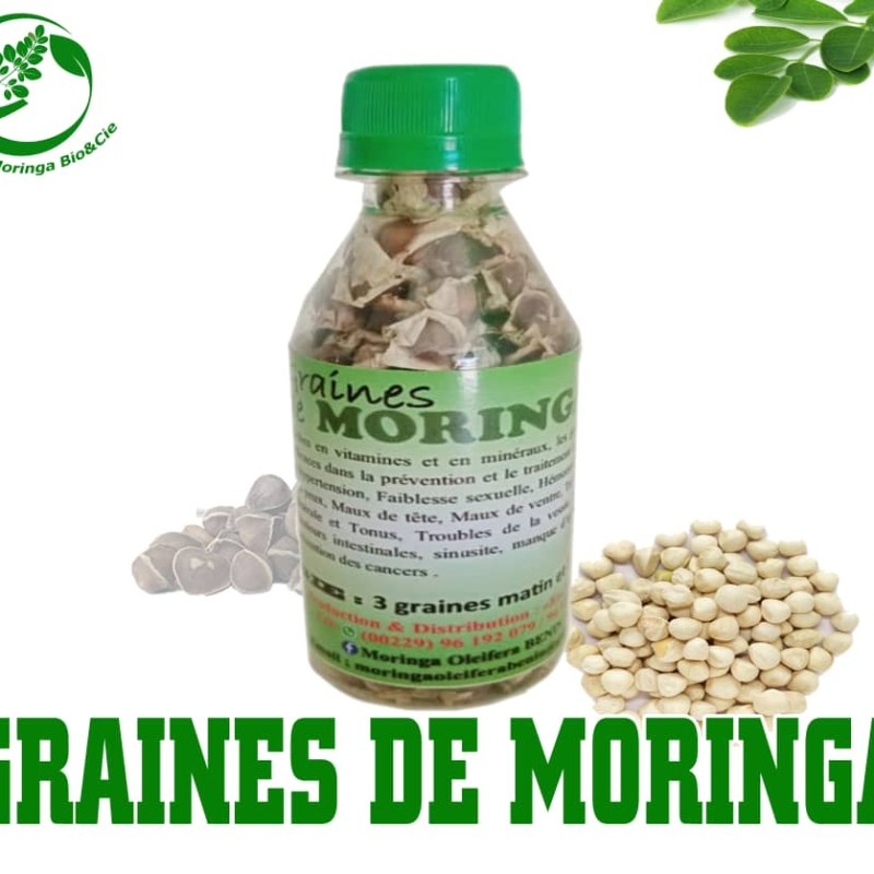 Graines de moringa