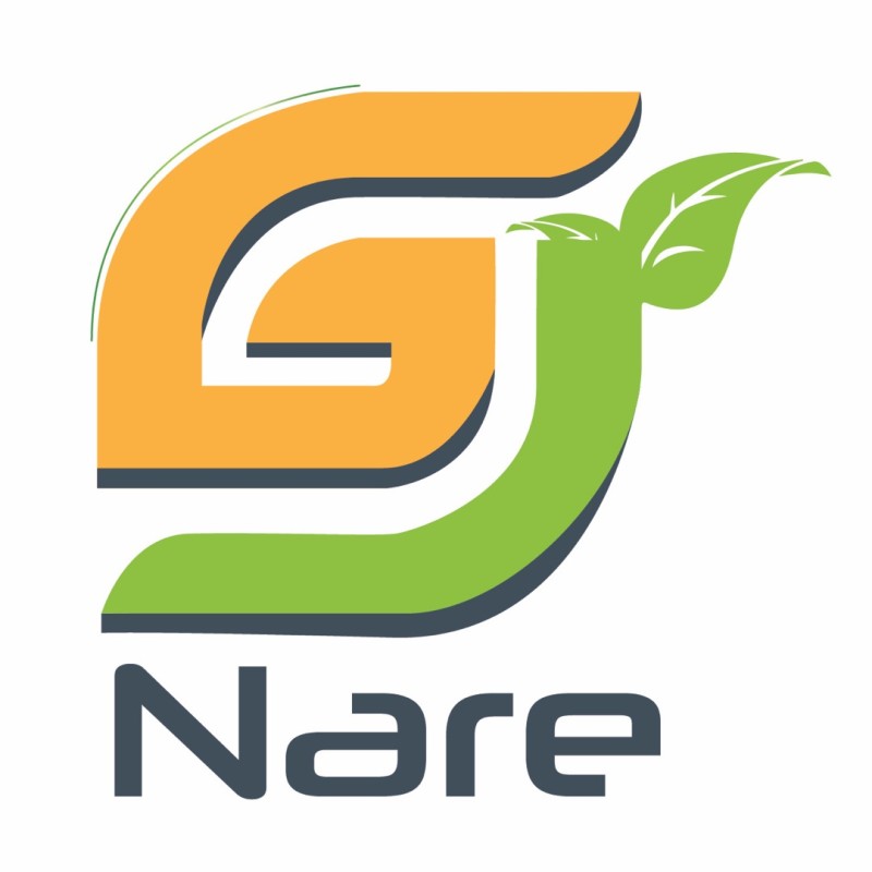 Groupe Naré